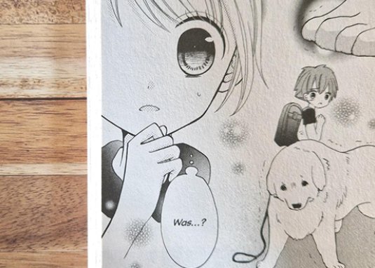 Yuzu die kleine Tierärztin 1 Kinder-Manga ab 6 Jahren