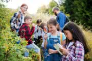 Naturgeschichten und Sachwissen für Kinder