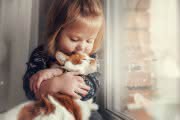 Lieblingstiere Katze