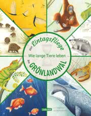 Von Eintagsfliege bis Grönlandwal Kinderbuch Sachbuch ab 5 Jahren