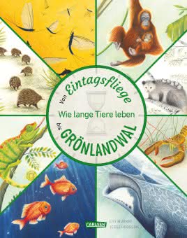 Von Eintagsfliege bis Grönlandwal Kinderbuch Sachbuch ab 5 Jahren