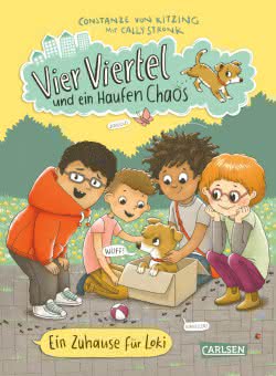 Vier Viertel und ein Haufen Chaos: Ein Zuhause für Loki Kinderbuch ab 6 Jahren