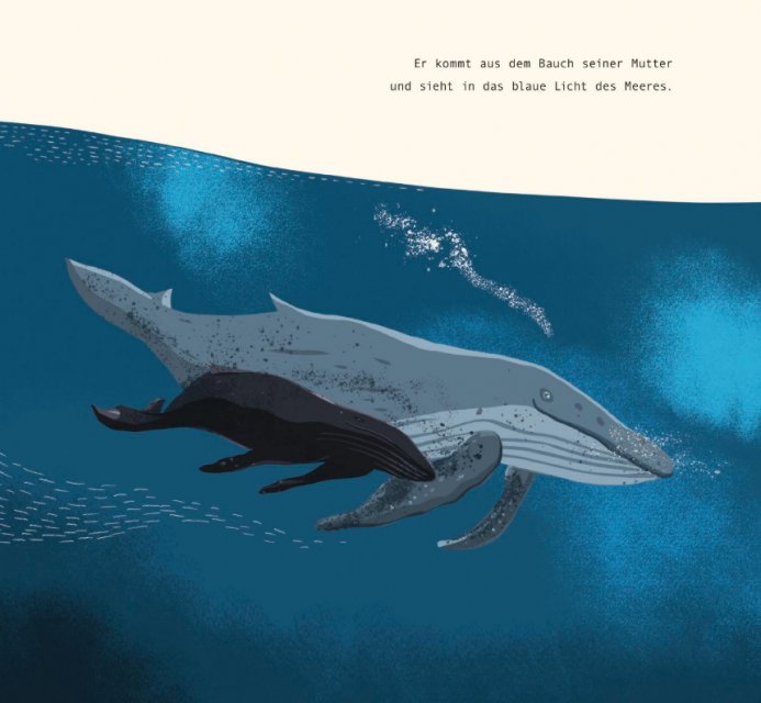 Innenseite Der einsamste Wal der Welt