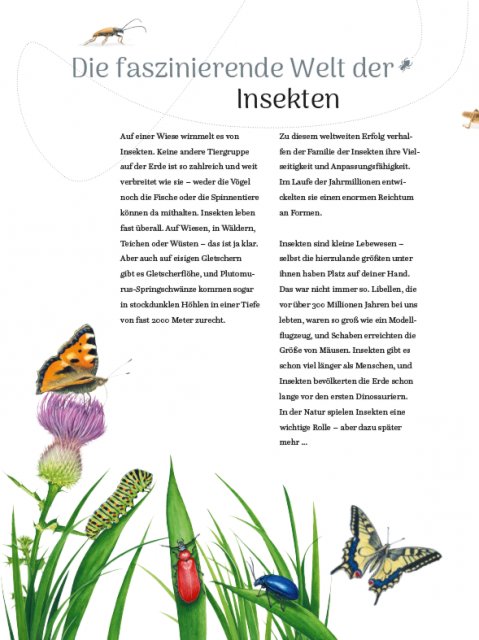 Insekten Innenseite