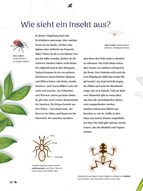 Insekten Innenseite