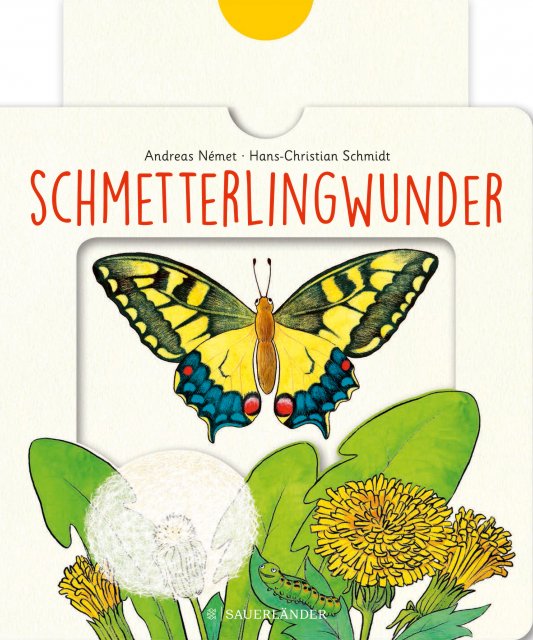 Cover Schmetterlingswunder
