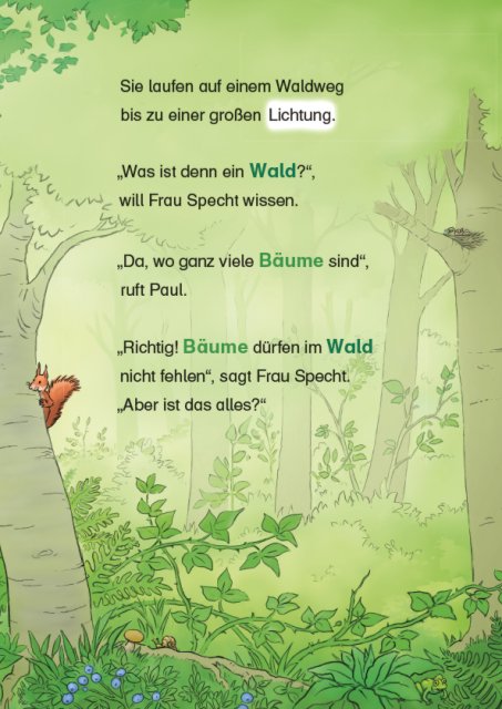 Conni und die Wald-Detektive Innenseite