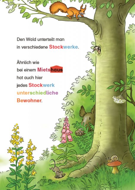 Conni und die Wald-Detektive Innenseite