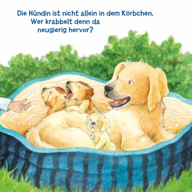 Innenseite Mein erstes Hör mal: Die Tierkinder