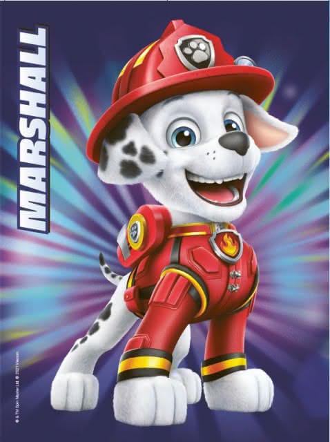 PAW Patrol Fanbuch zum Film Book Flip 3