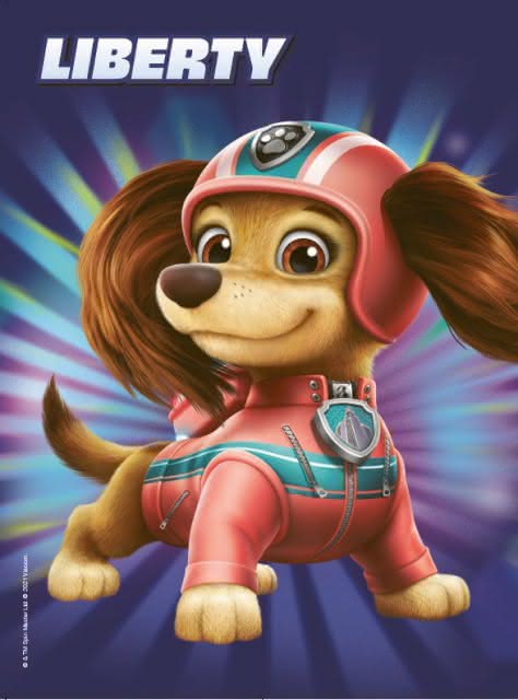 PAW Patrol Fanbuch zum Film Book Flip 5