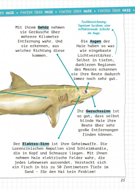 Eric erforscht die wilden Tiere 6