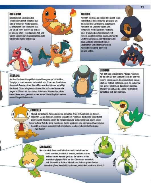 Pokémon Das große Lexikon Book Flip 5