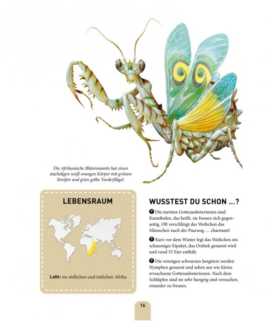 Wunderwelt des Wissens Insekten 1