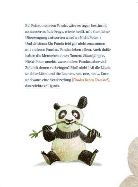 Panda-Pand Book Flip 4