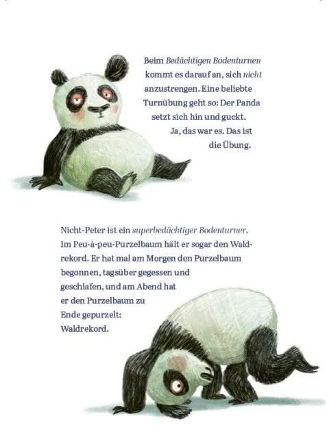 Panda-Pand Book Flip 6