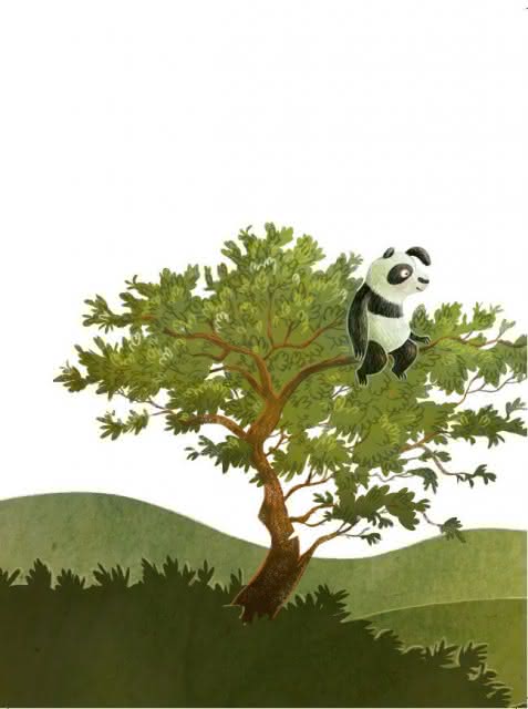 Panda-Pand Book Flip 8