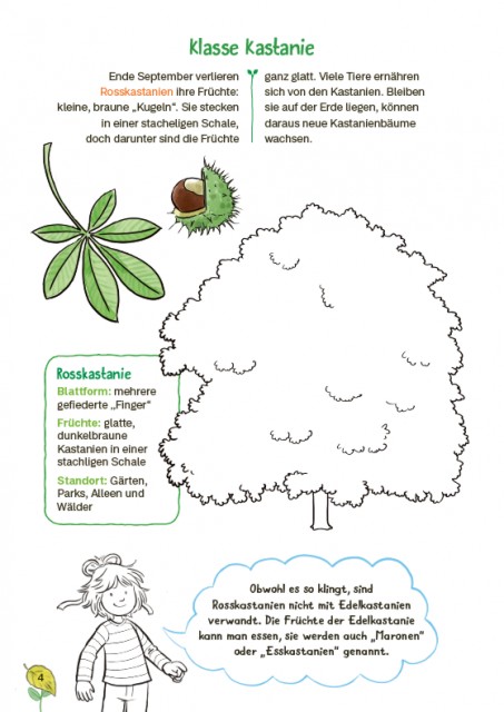 Conni gelbe Reihe: Mein Kreativ-Naturbuch Innenseite