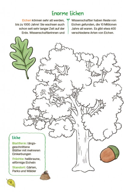 Conni gelbe Reihe: Mein Kreativ-Naturbuch Innenseite