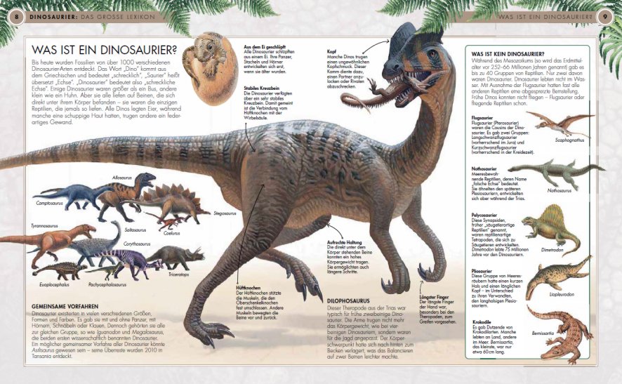 Dinosaurier - Das große Lexikon Innenseite