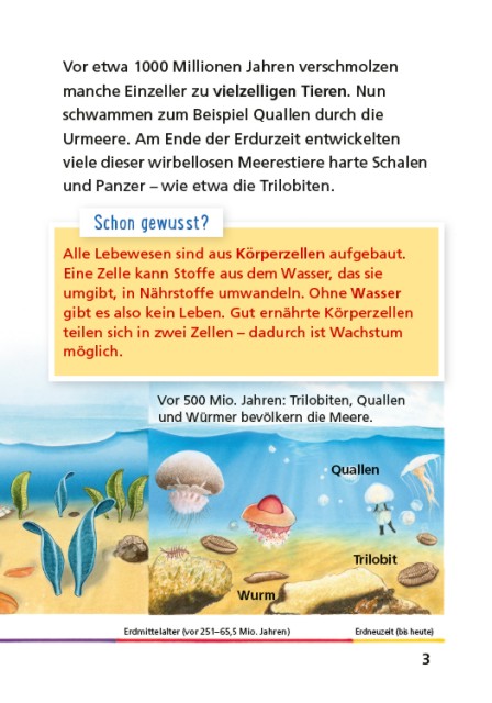 Pixi Wissen 74: Dinosaurier und Urzeittiere Innenseite