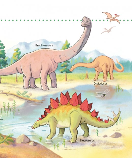 Unkaputtbar: Erstes Wissen: Dinosaurier Innenseite