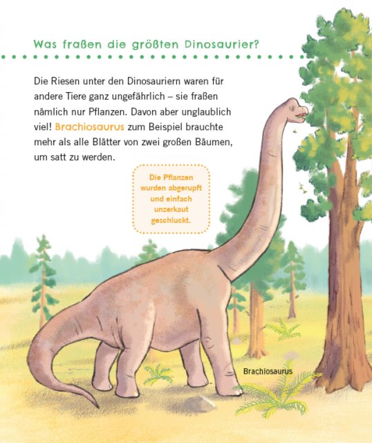 Unkaputtbar: Erstes Wissen: Dinosaurier Innenseite