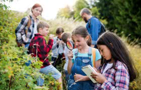 Naturgeschichten und Sachwissen für Kinder