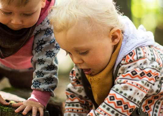 Natur erleben mit Kinderbuch 