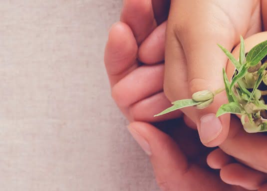 Sachbücher für Kinder: Natur und Umwelt