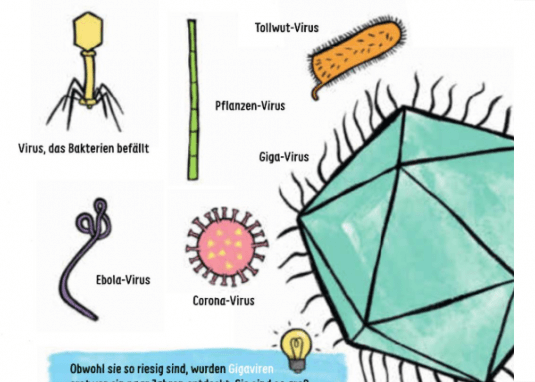 Winziges Leben. Corona und andere Mikroben für Kinder erklärt