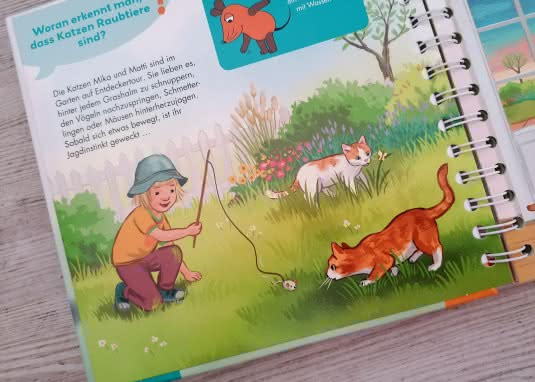 Frag doch mal die Maus Haustiere Innenseite Katzen