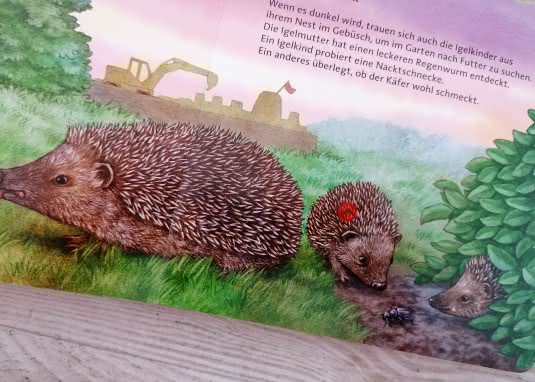 HÖR MAL Tierkinder Igel