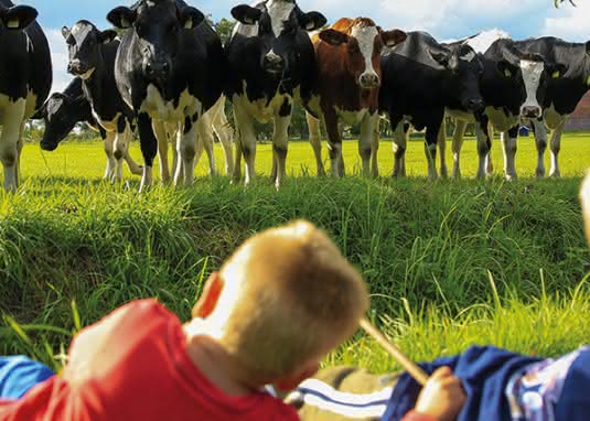 Gastbeitrag: Fünf tierische Kinderbuchhelden, die wir lieben 