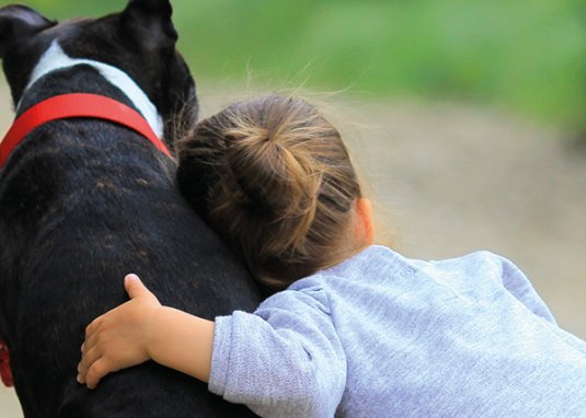 Warum Kinder Tiere (im Kinderbuch) lieben