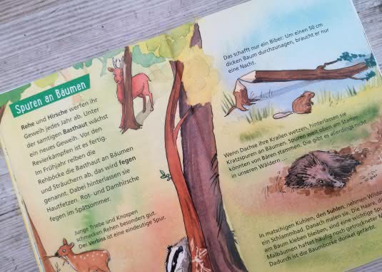 Pixi Wissen Tierspuren Kratzspuren