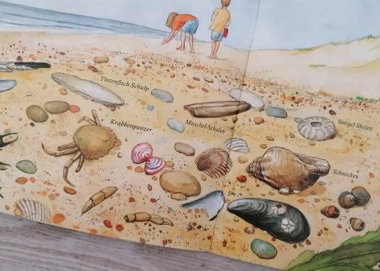 Lesemaus Tiere am Meer Innenseite Strand