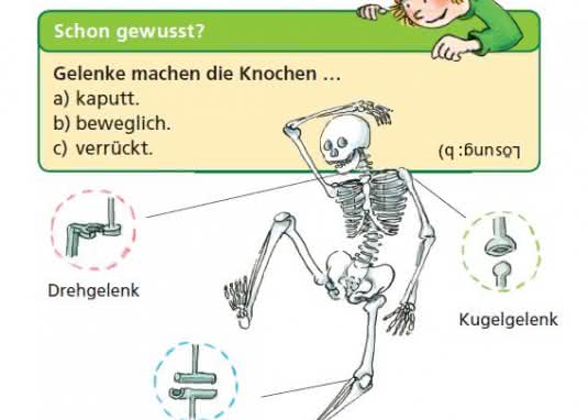 Pixi Wissen Der kleine Medicus Bewegung Innenseite Skelett
