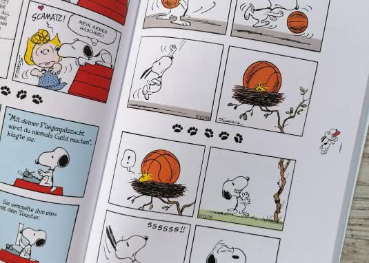 Snoopy - So cool! Innenseite Basketball