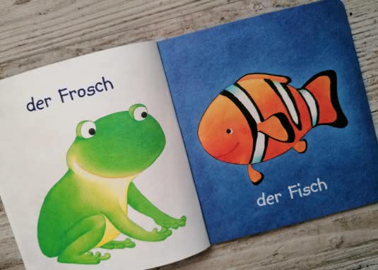 Baby Pixi Meine Tiere Innenseite Frosch Fisch