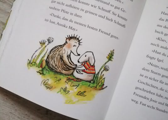 Igel & Schnuff Cover Innenseite Gefunden