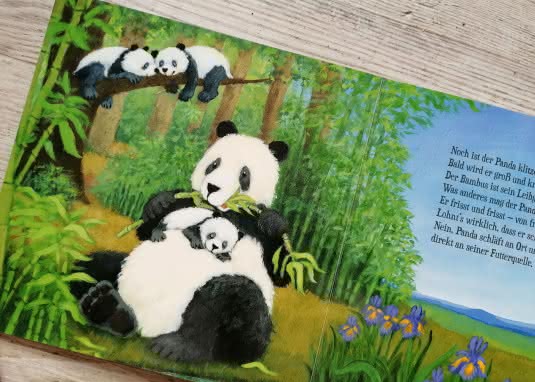 Schau wie niedlich Tiere schlafen gehen Innenseite Panda