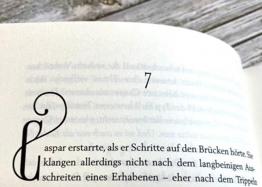 Die vier verborgenen Reiche 1: Caspar und die Träne des Phönix Innenseite