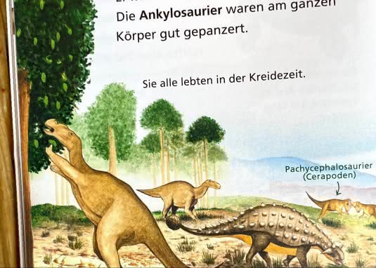 Pixi Wissen 74: Dinosaurier und Urzeittiere Innenseite