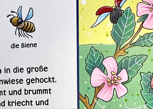 Hör mal (Soundbuch): Wimmelbuch: Wald und Wiese