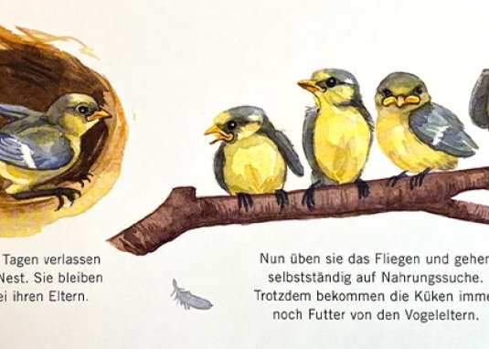 Mein großes Vogelbuch