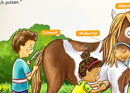 Frag doch mal ... die Maus Pferde und Ponys Kinderbuch Kindersachbuch ab 2 Jahren