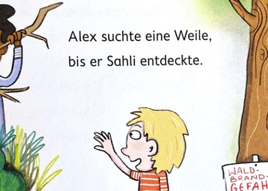 Im Licht der Zauberkugel: Der Dschuha und der Eselritt Einfach lesen lernen Erstleser Kinderbuch ab 7 Jahren