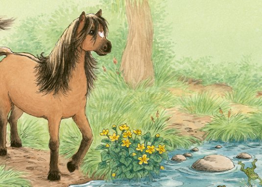 Ponyherz und Herr Franz: Die geklaute Wurst Kinderbuch ab 5 Jahren Erstleser Einfach lesen lernen