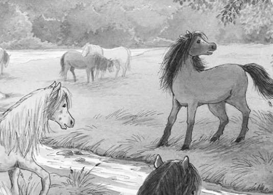 Ponyherz 1: Wild und frei. Das Buch zum Film Kinderbuch ab 7 Jahren